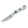 Polish Pottery Boleslawiec Stoneware Stainless Steel Knife GU1858 Zaklady Ceramiczne pattern 224A H4473I