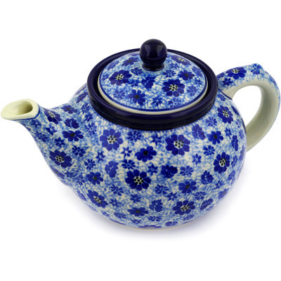 Polish Pottery Tea or Coffee Pot 5 cups Misty Dragonfly
